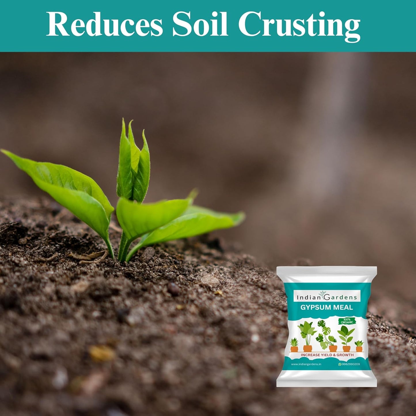 Gypsum fertilizer for plants | Gypsum Soil Amendment | Soil Conditioner | Gypsum Powder | Natural Gypsum | Plant Food