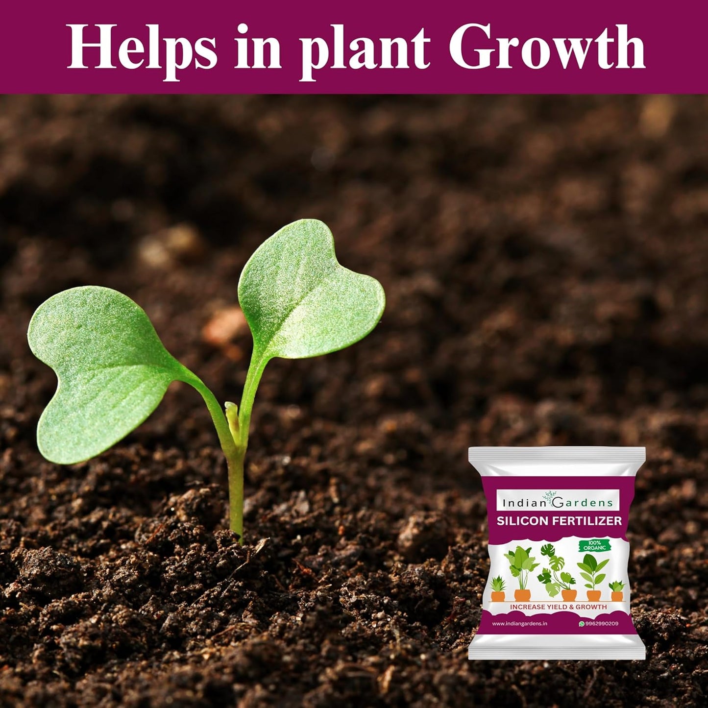 Silicon Fertilizer for Plants | Plant Nutrient and Plant Food | Gardening