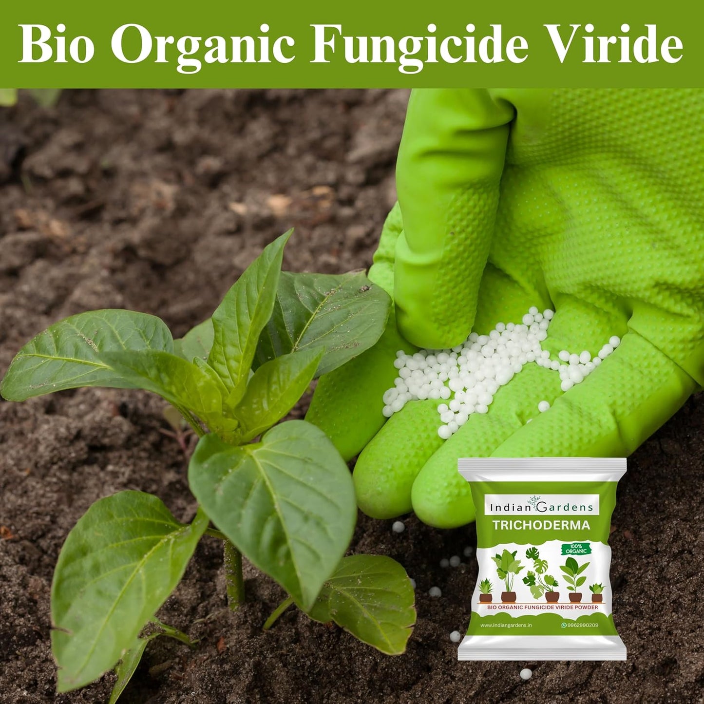 Trichoderma plant fertilizer | Trichoderma Compost Enhancer | Root Booster Fertilizer | Eco-Friendly Growth Stimulator