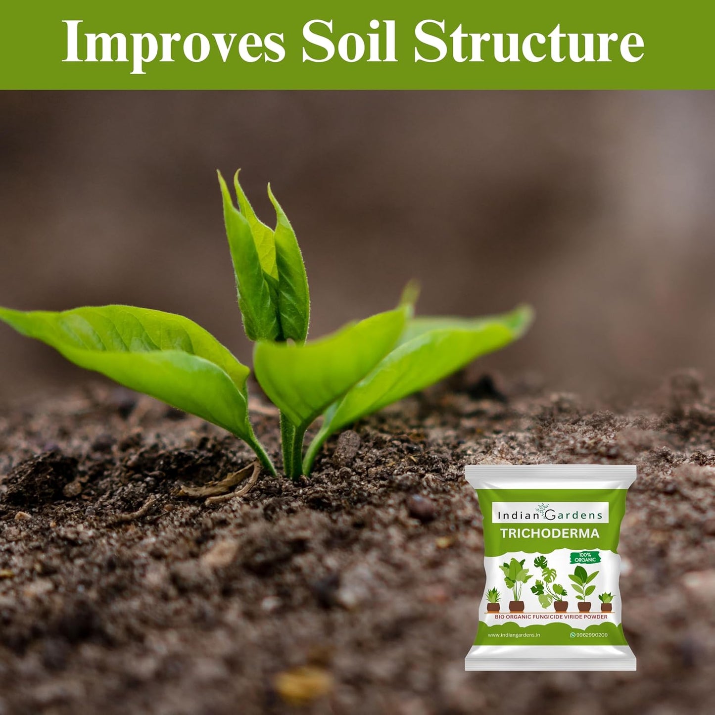 Trichoderma plant fertilizer | Trichoderma Compost Enhancer | Root Booster Fertilizer | Eco-Friendly Growth Stimulator