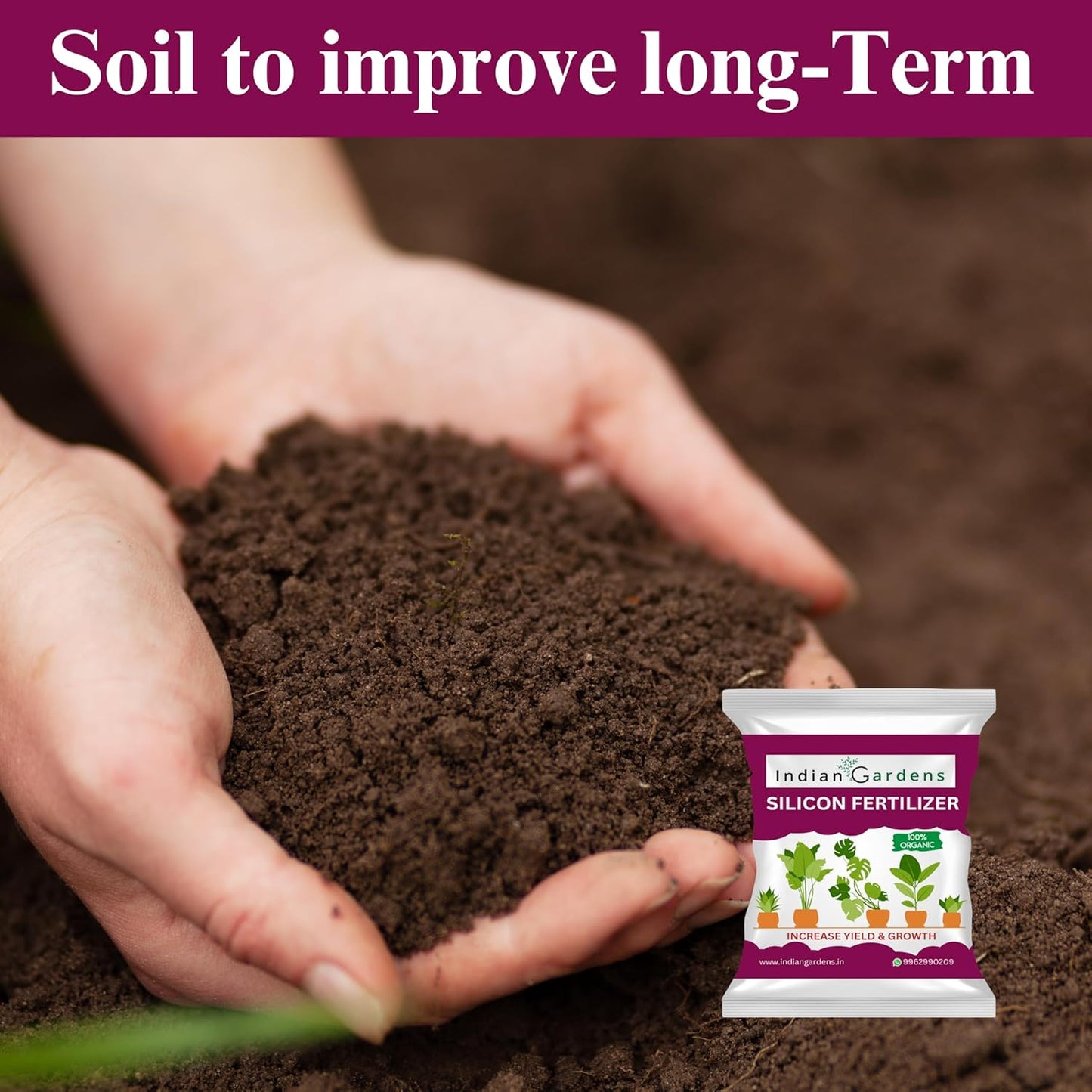 Silicon Fertilizer for Plants | Plant Nutrient and Plant Food | Gardening