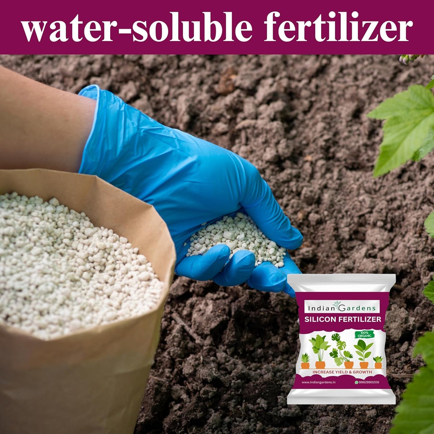 Silicon Fertilizer for Plants | Plant Nutrient and Plant Food | Gardening