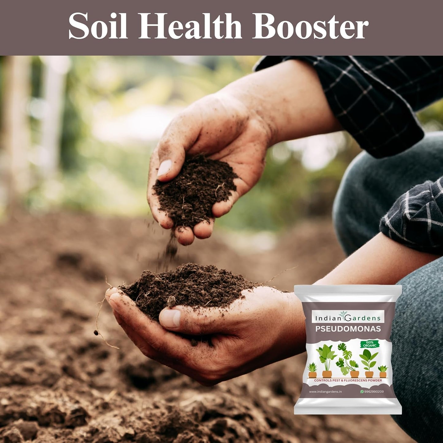 Pseudomonas Plant fertilizer | Soil health booster | Pseudomonas fluorescens |Chemical-free plant food