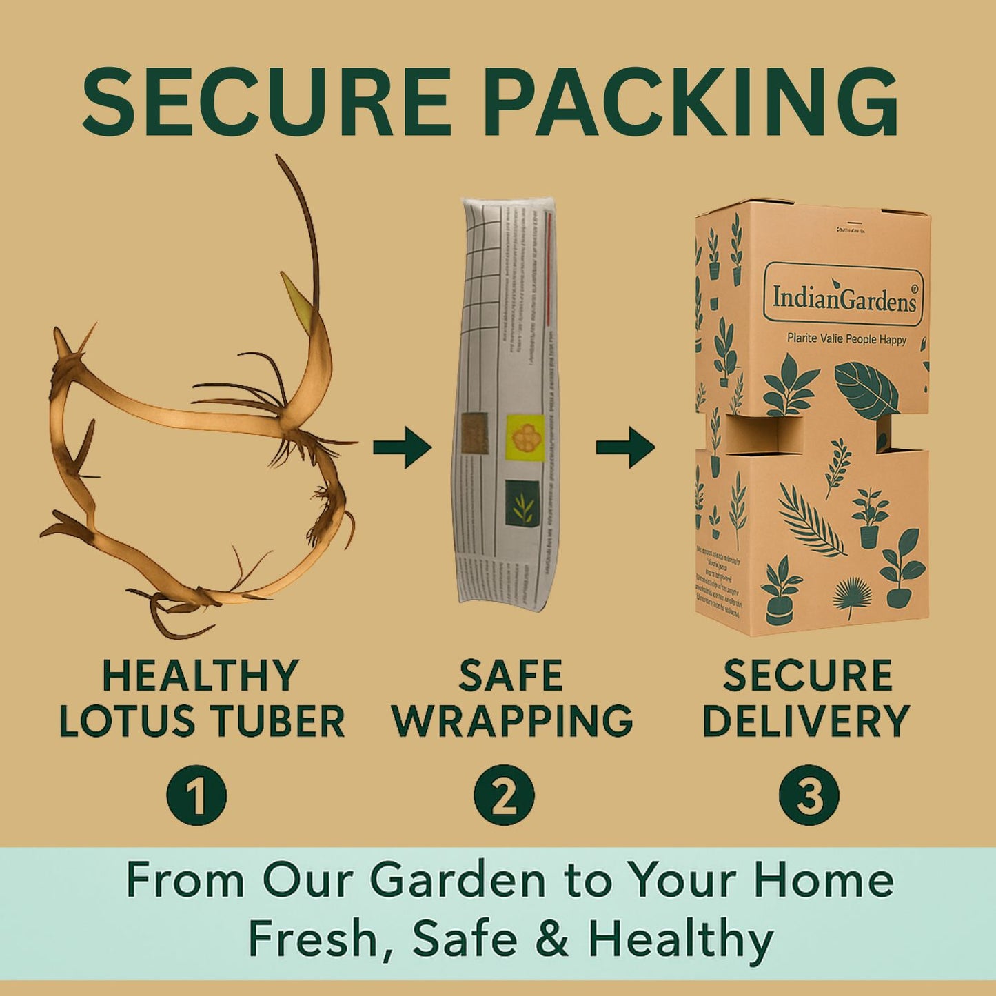 Amery Peony Lotus ( code 35 )