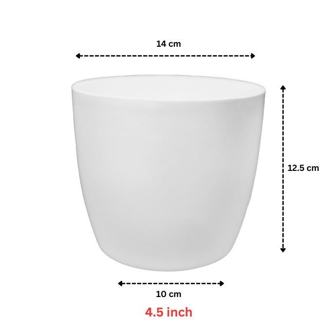 Indoor Plastic Small |Any Colour - Pack of 6