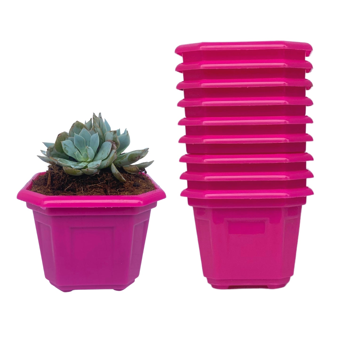 Indoor Plastic Small |Octa 4 Pots | Colour Pot