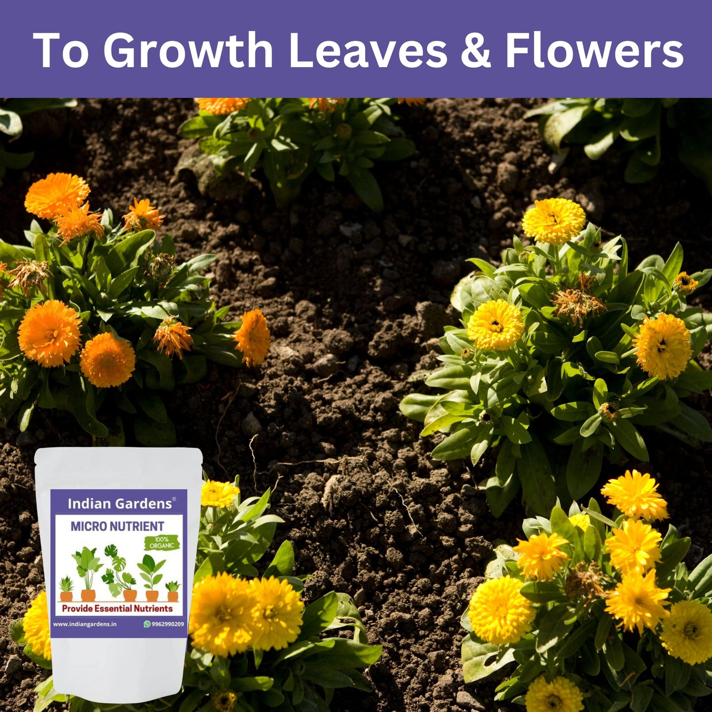 Micro Nutrient Fertilizer | Soil Applicant | Premium Essential Plant Food | Home Gardens for All Plants