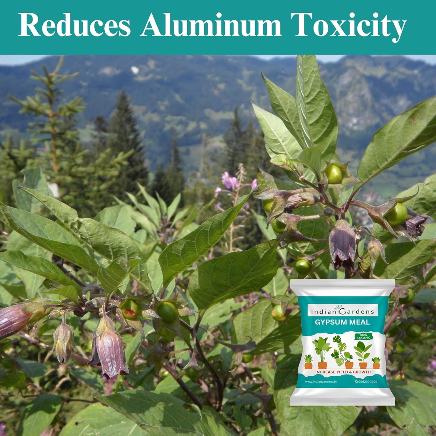 Gypsum fertilizer for plants | Gypsum Soil Amendment | Soil Conditioner | Gypsum Powder | Natural Gypsum | Plant Food