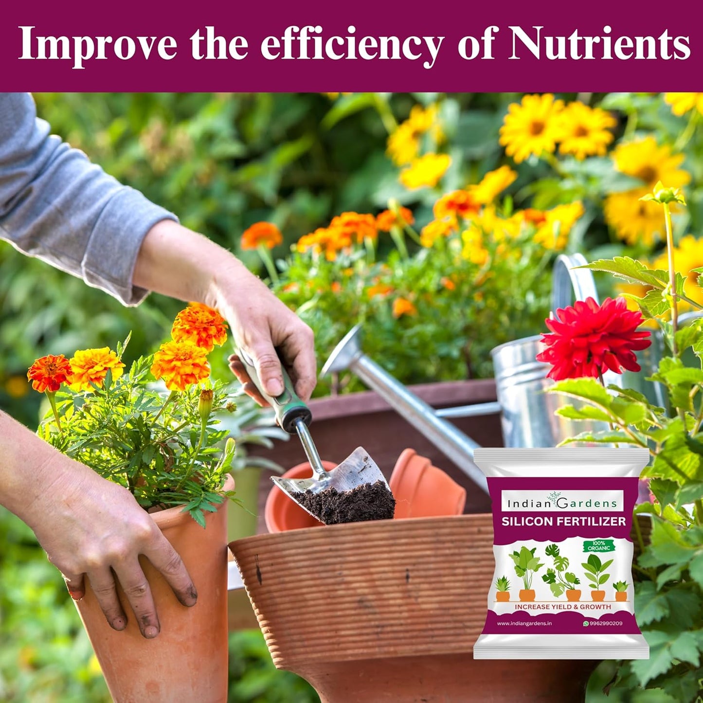 Silicon Fertilizer for Plants | Plant Nutrient and Plant Food | Gardening