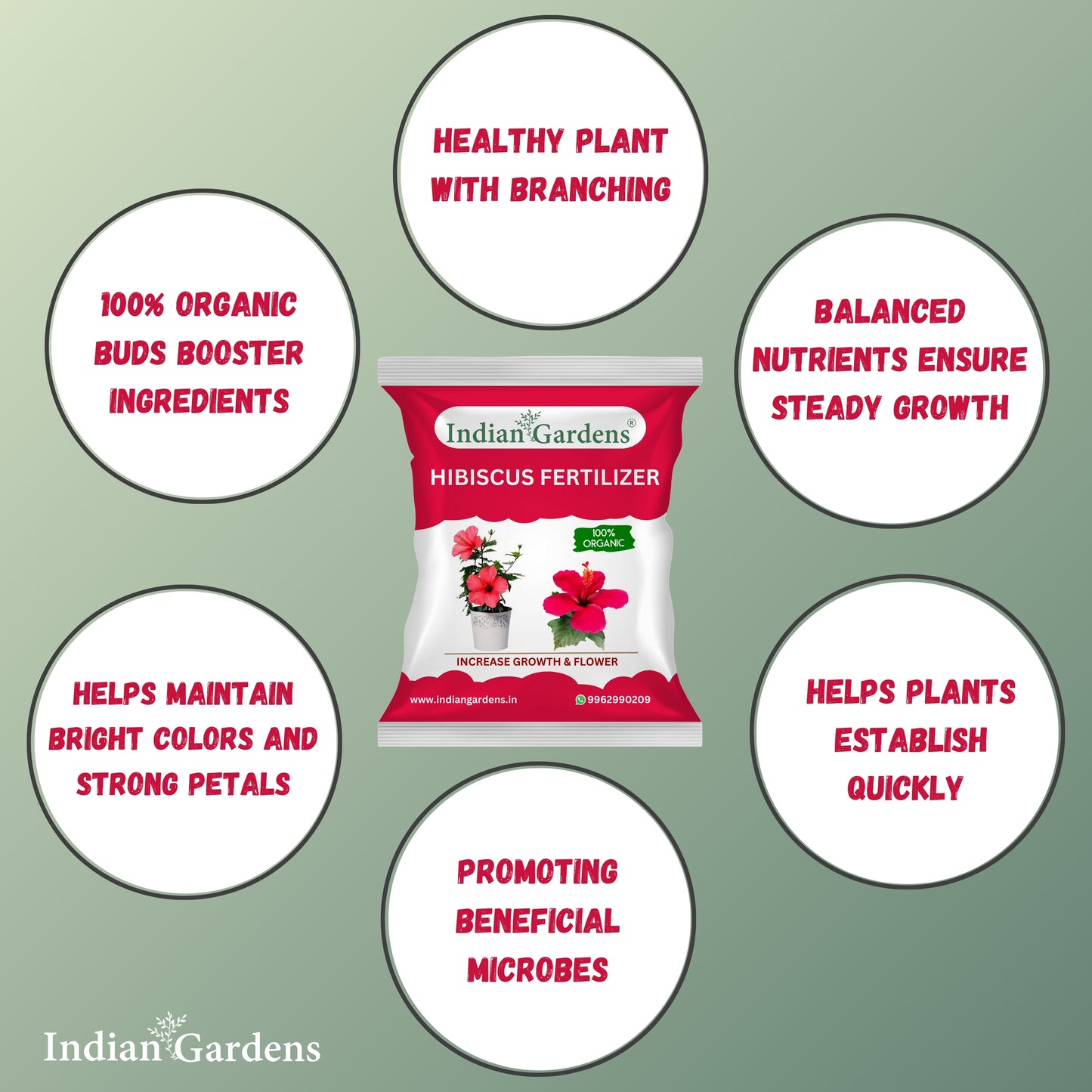 Hibiscus Fertilizer | Flowering Plant Fertilizer |Organic Plant Food For Flowering | Healthy Stems And Strong Roots