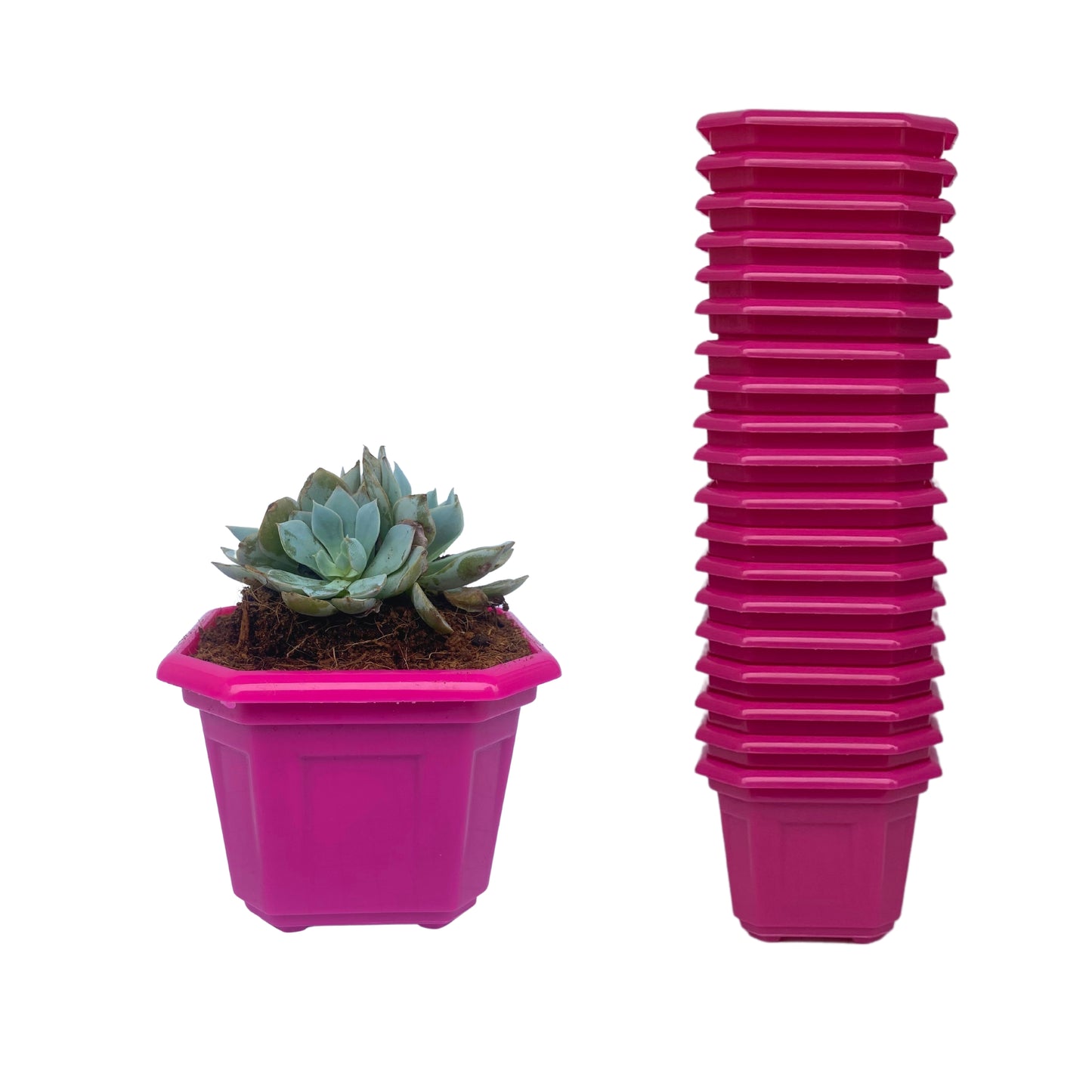 Indoor Plastic Small |Octa 4 Pots | Colour Pot