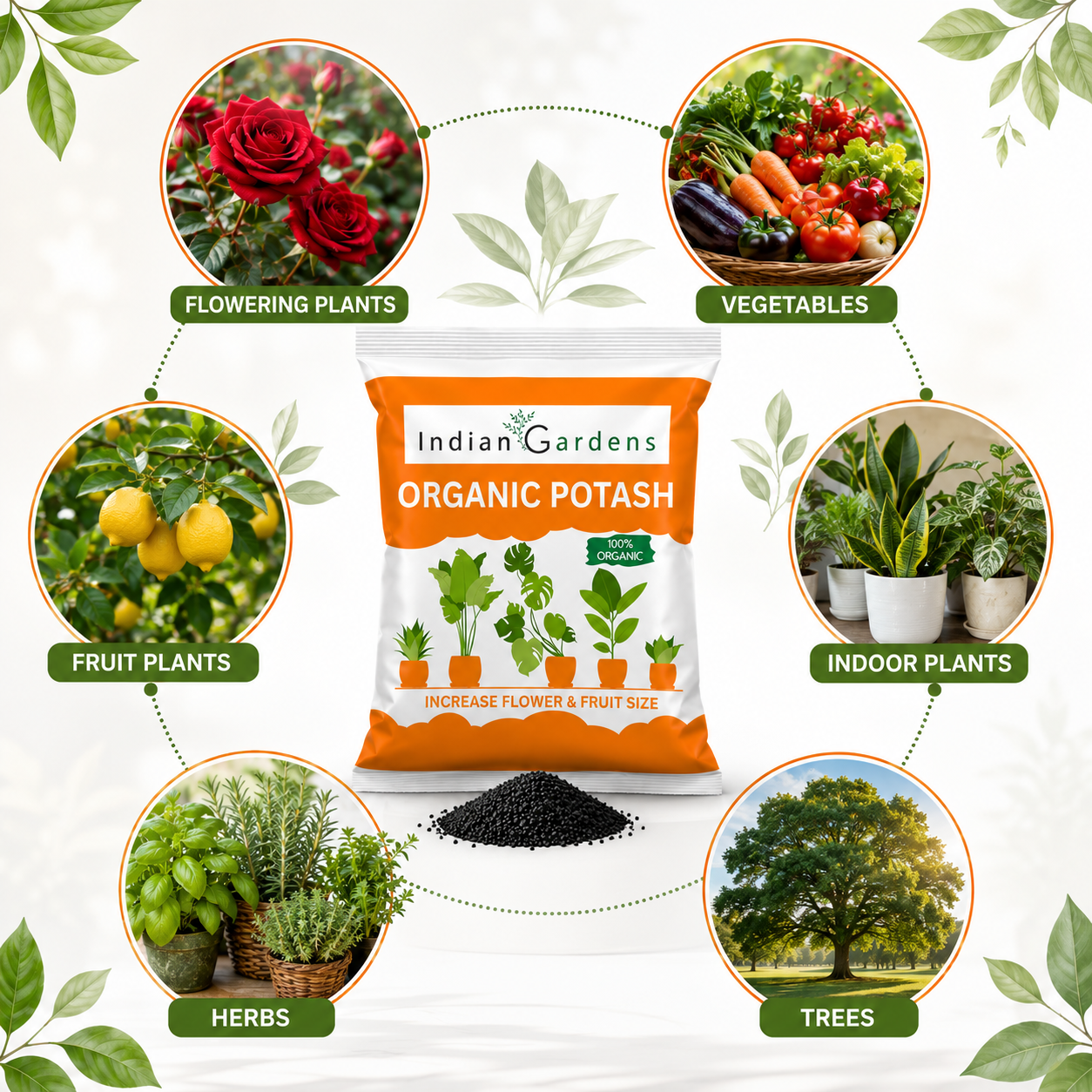 Organic Bio Potash Fertilizer | Plant Nutrient Supplement | Slow Release Granules For Plants and Home Garden