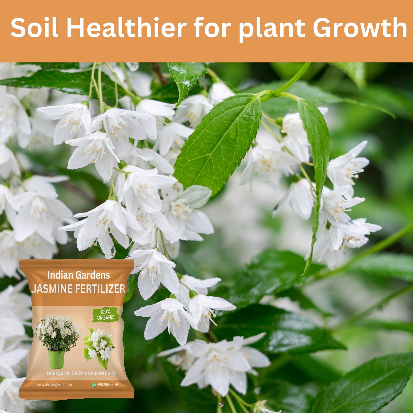Jasmine Fertilizer for plants