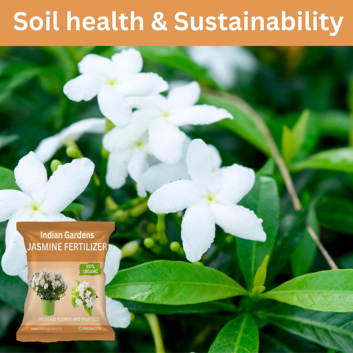 Jasmine Fertilizer for plants