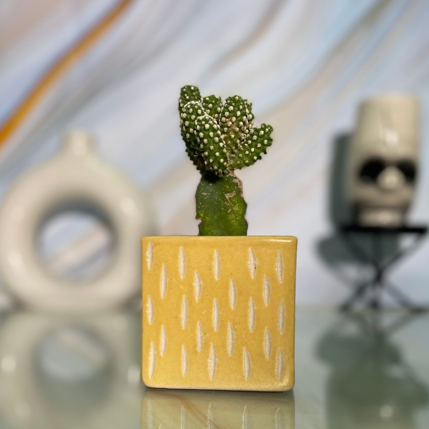 Ceramic Square Yellow Colour Pot Home, Indoor Décor & Gifting