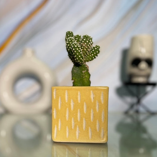 Ceramic Square Yellow Colour Pot Home, Indoor Décor & Gifting