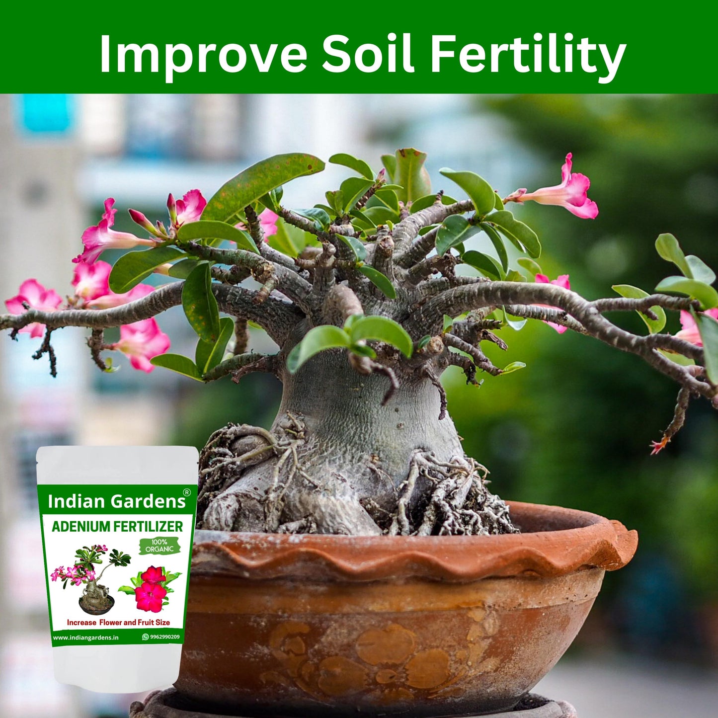 Adenium fertilizer