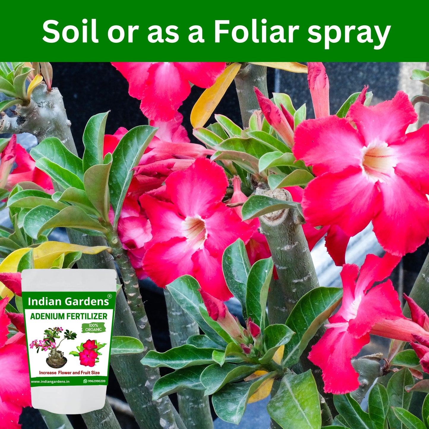 Adenium fertilizer