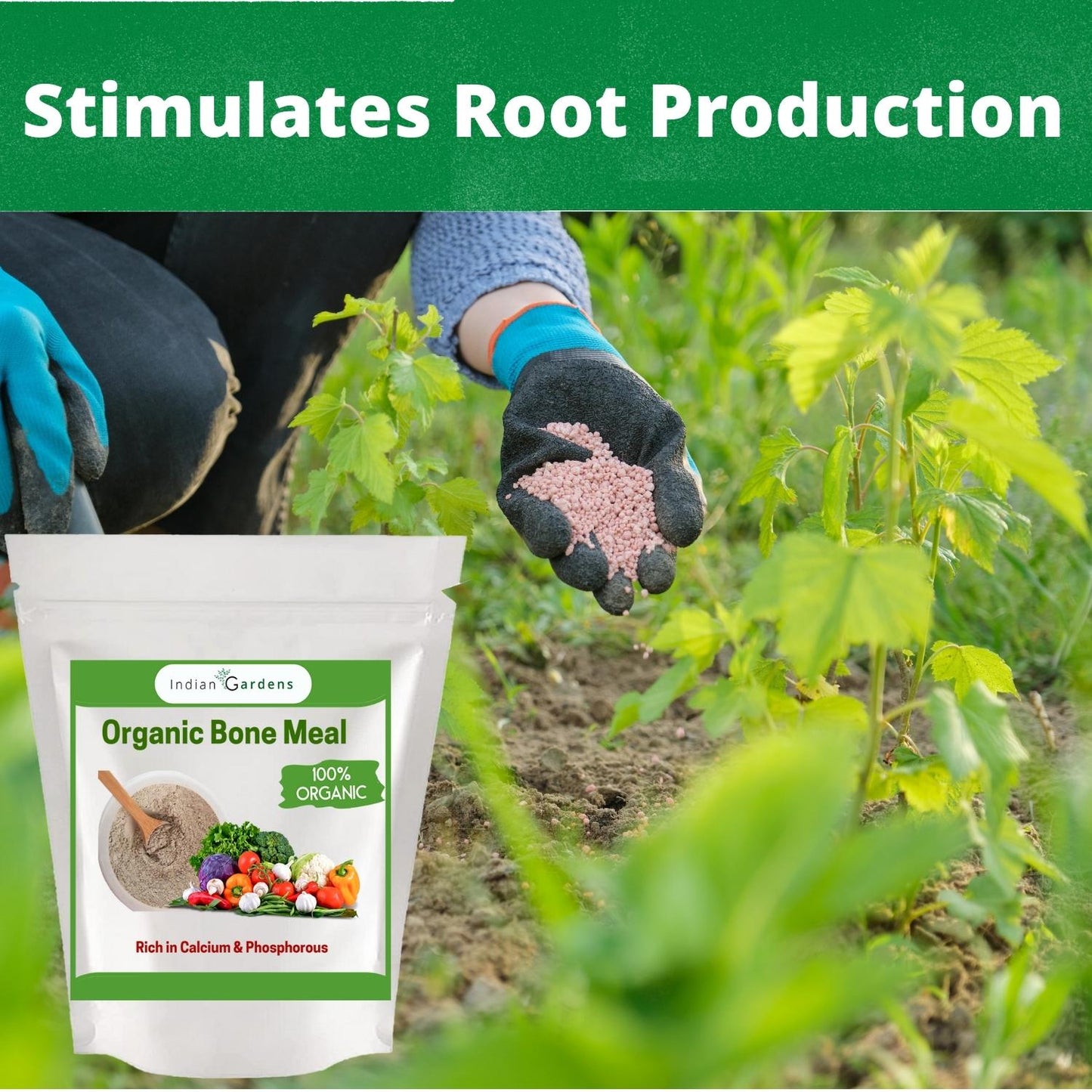 Bone Meal Powder 100% Organic Plant fertilizer | Rich in Calcium and Phosphorus | Plant Fertilizer | Home Gardening