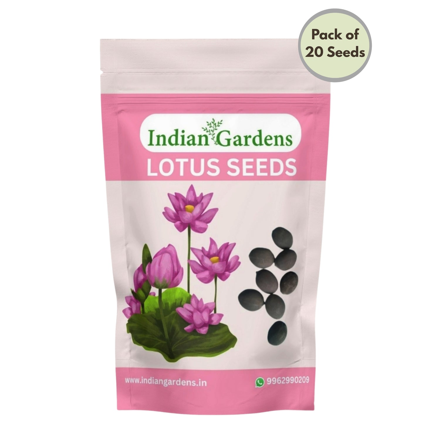 Lotus Seed for Planting ( Pack of 20 ) Lotus Flower Seeds for Home Decor.