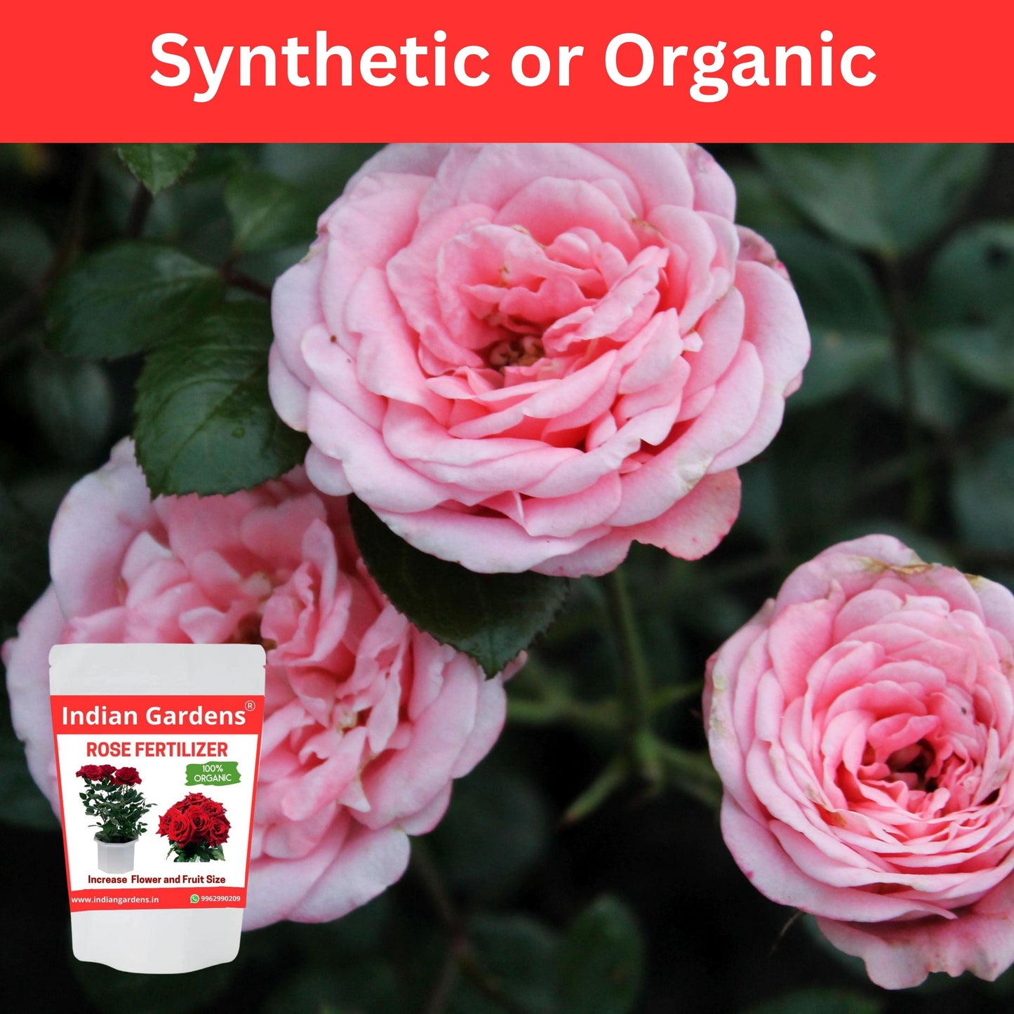 Rose Fertilizer | Rose Plant Food For Flowering Plants | Flower Booster