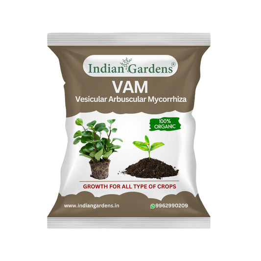 VAM (Vesicular Arbuscular Mycorrhiza) Bio fertilizer for All Plants | Root Growth Booster | Organic Plant Food
