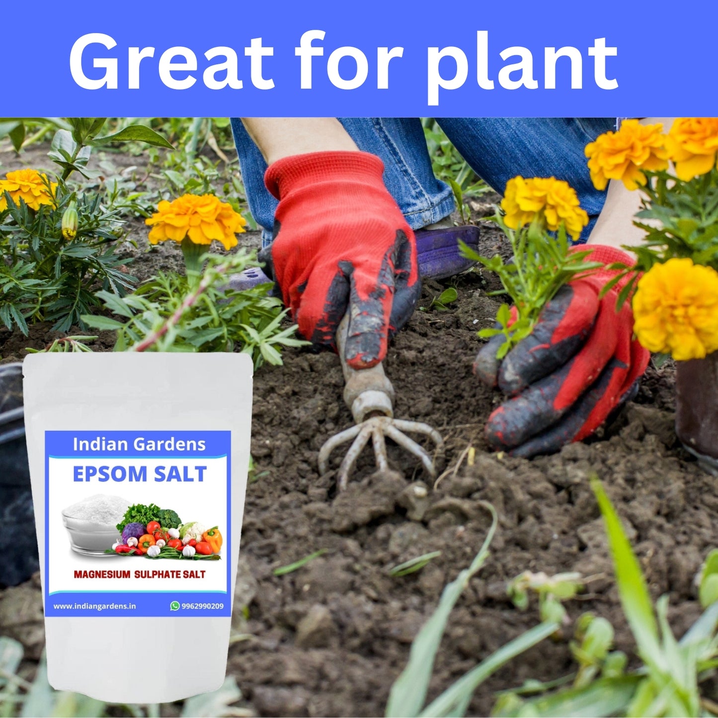 Epsom Crystals Salt Fertilizer For Plants