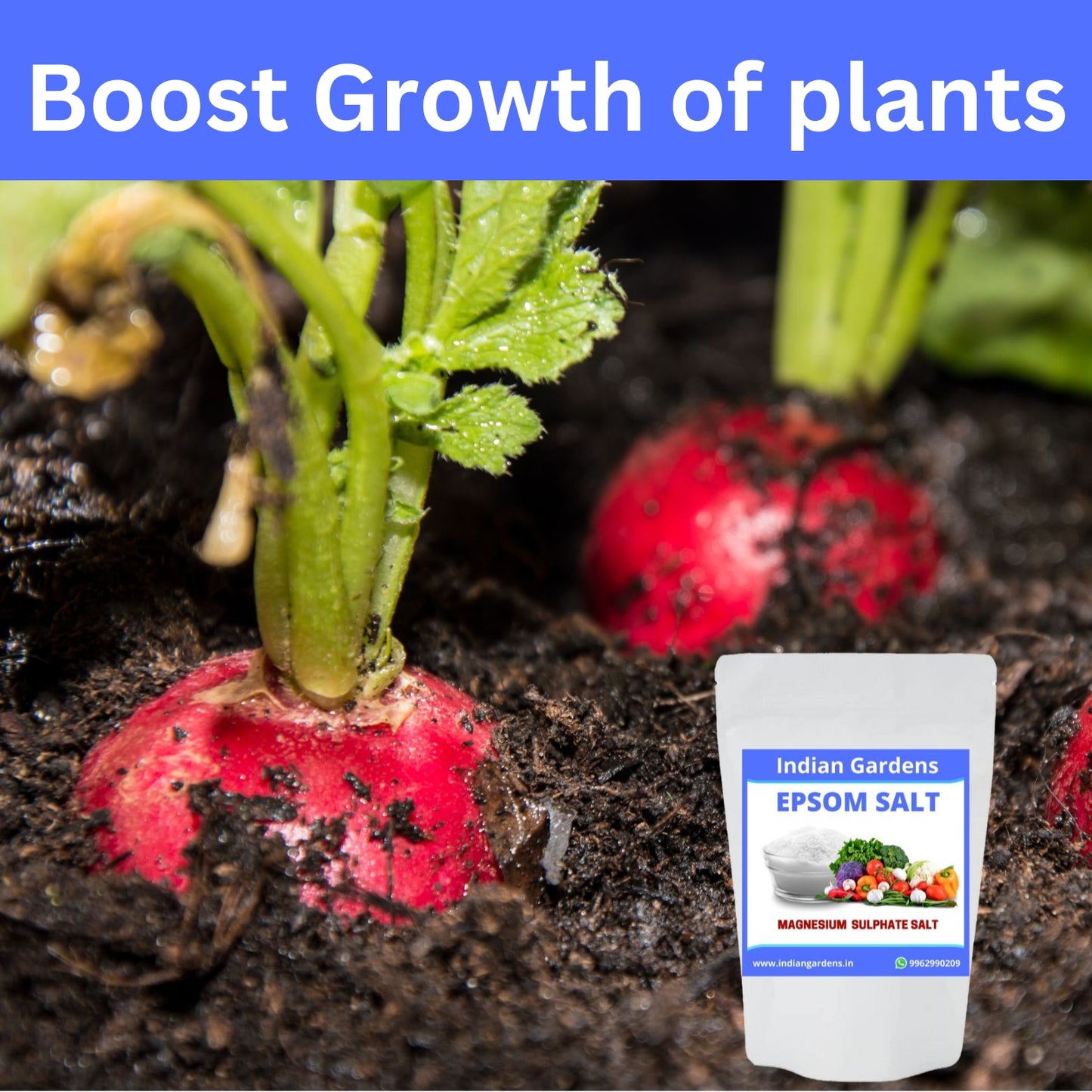 Epsom Crystals Salt Fertilizer For Plants