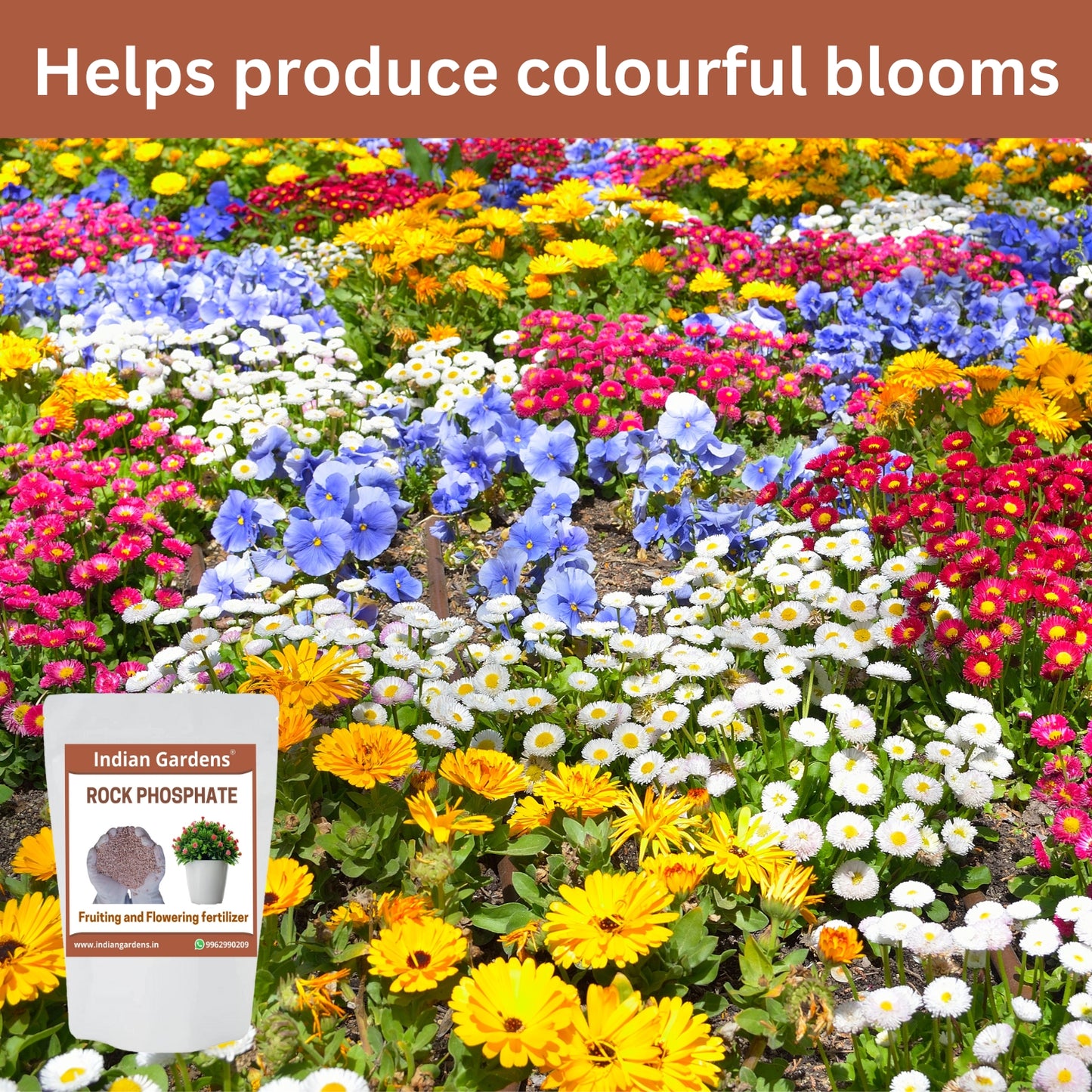 Rock Phosphate Fertilizer For All Plants