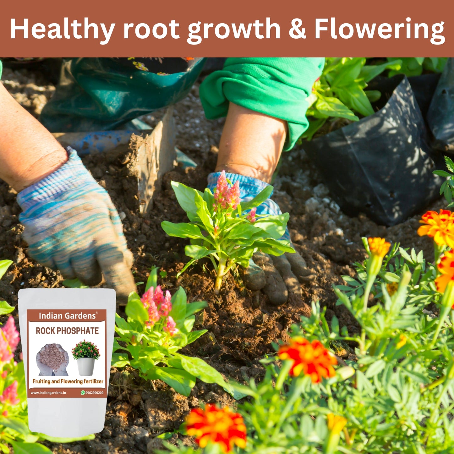 Rock Phosphate Fertilizer For All Plants