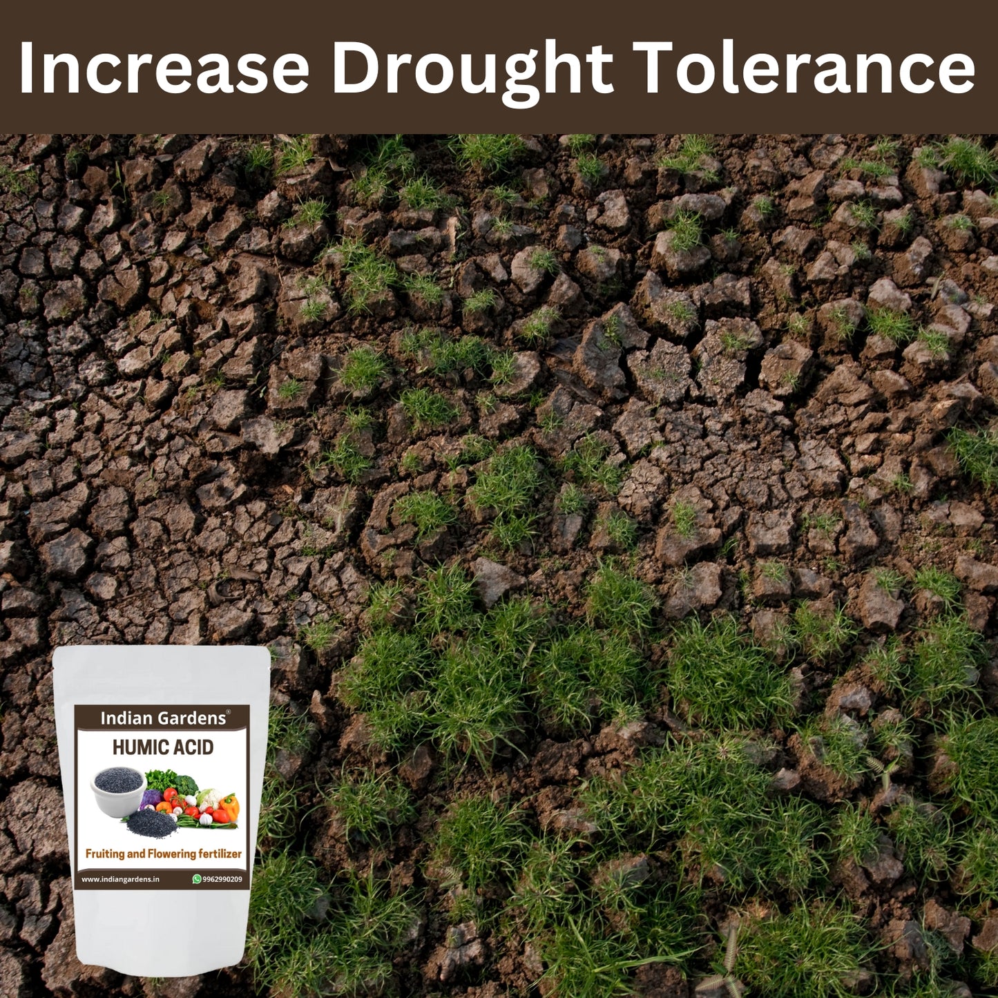 Humic acid fertilizer for plants