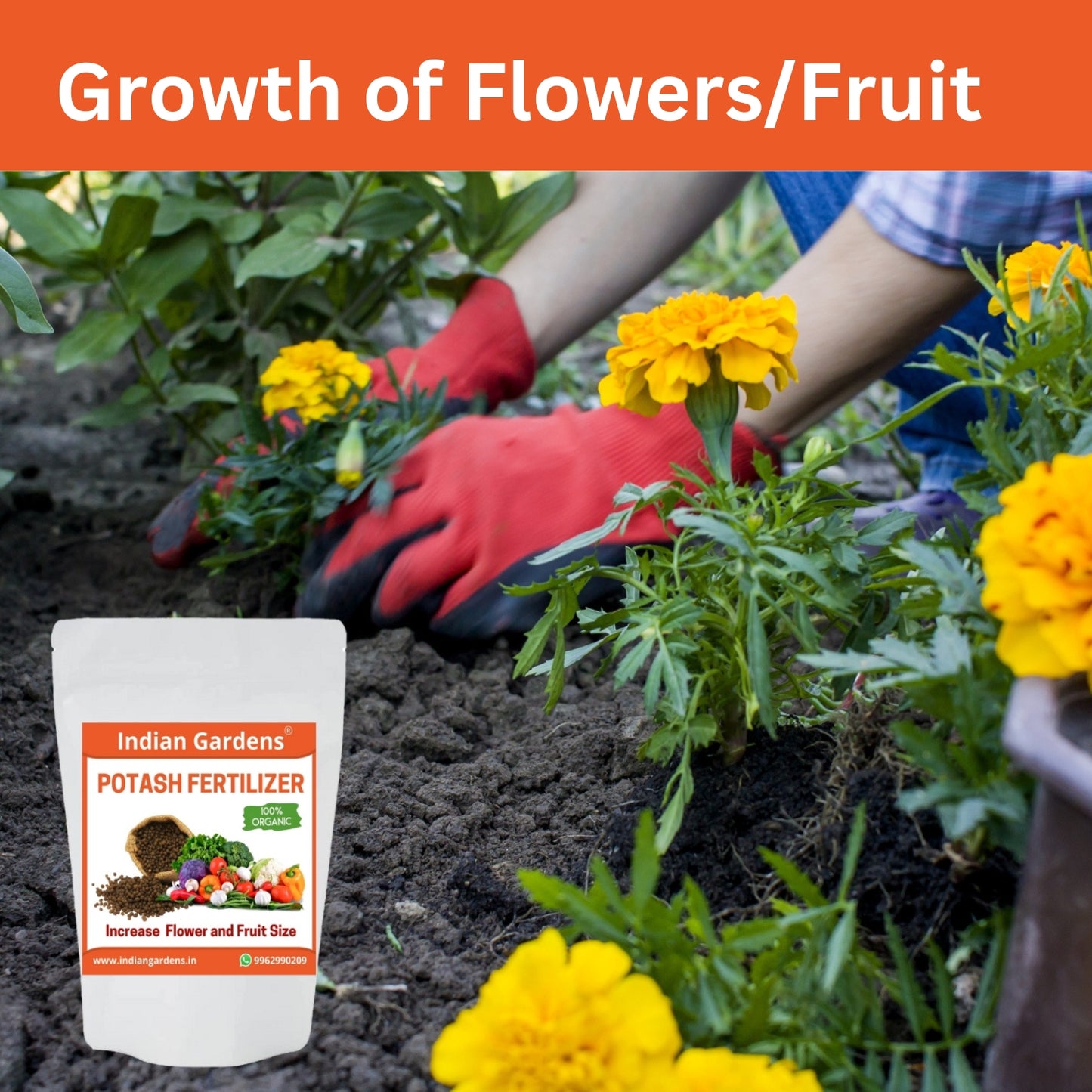 Organic Bio Potash Fertilizer | Plant Nutrient Supplement | Slow Release Granules For Plants and Home Garden