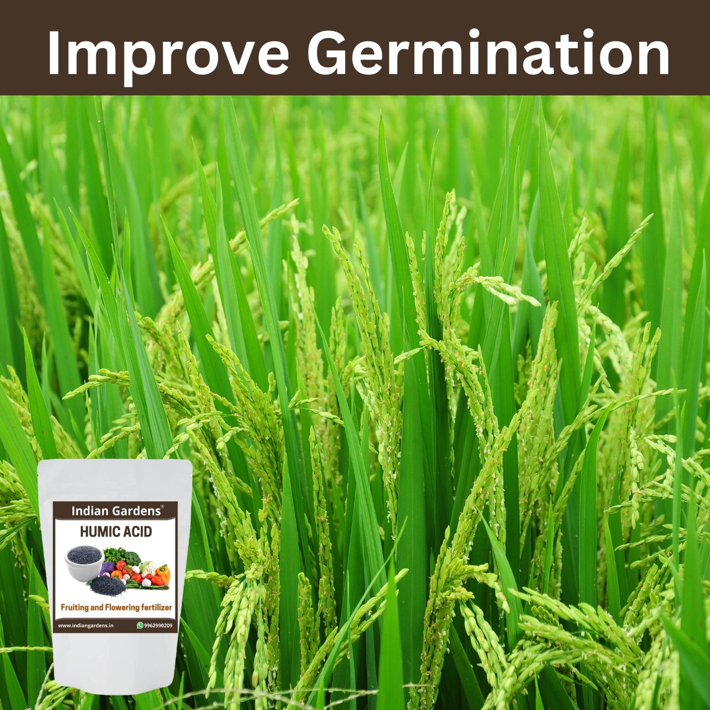 Humic acid fertilizer for plants