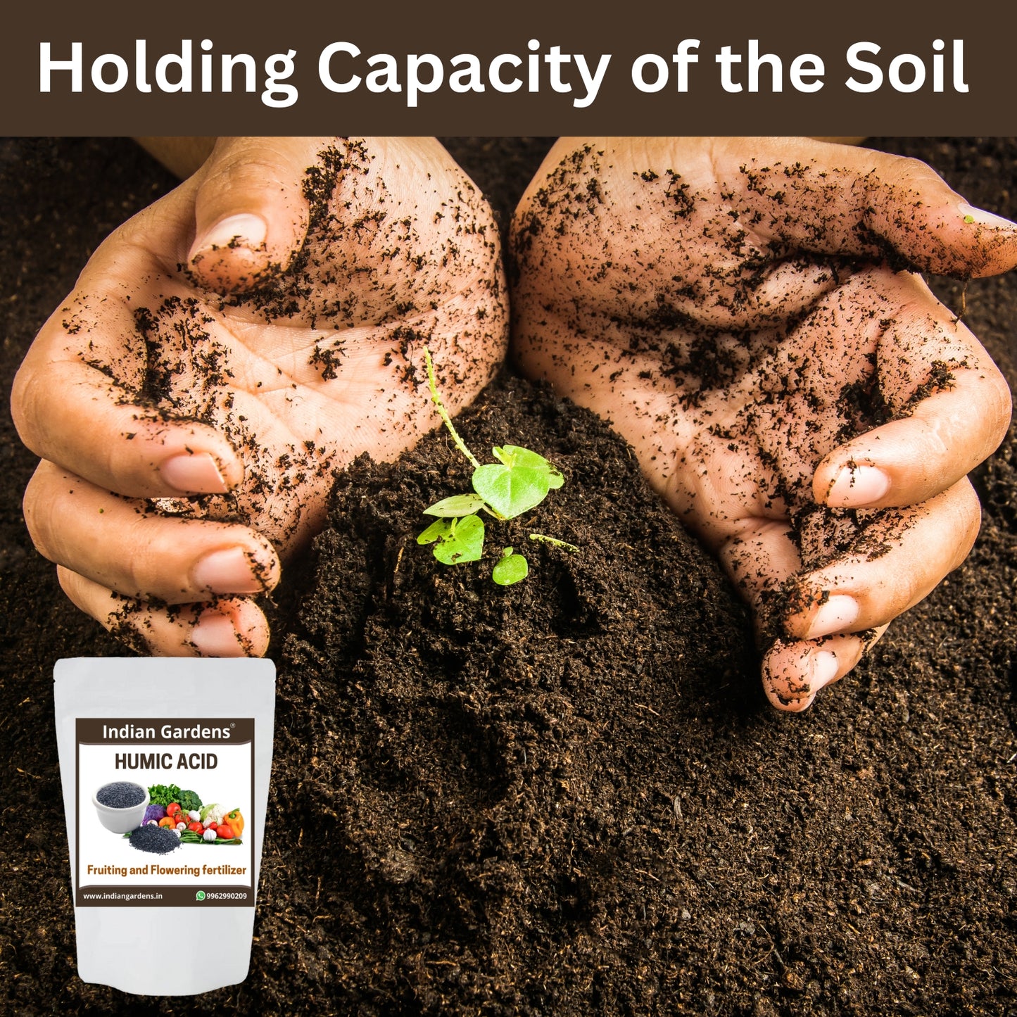 Humic acid fertilizer for plants