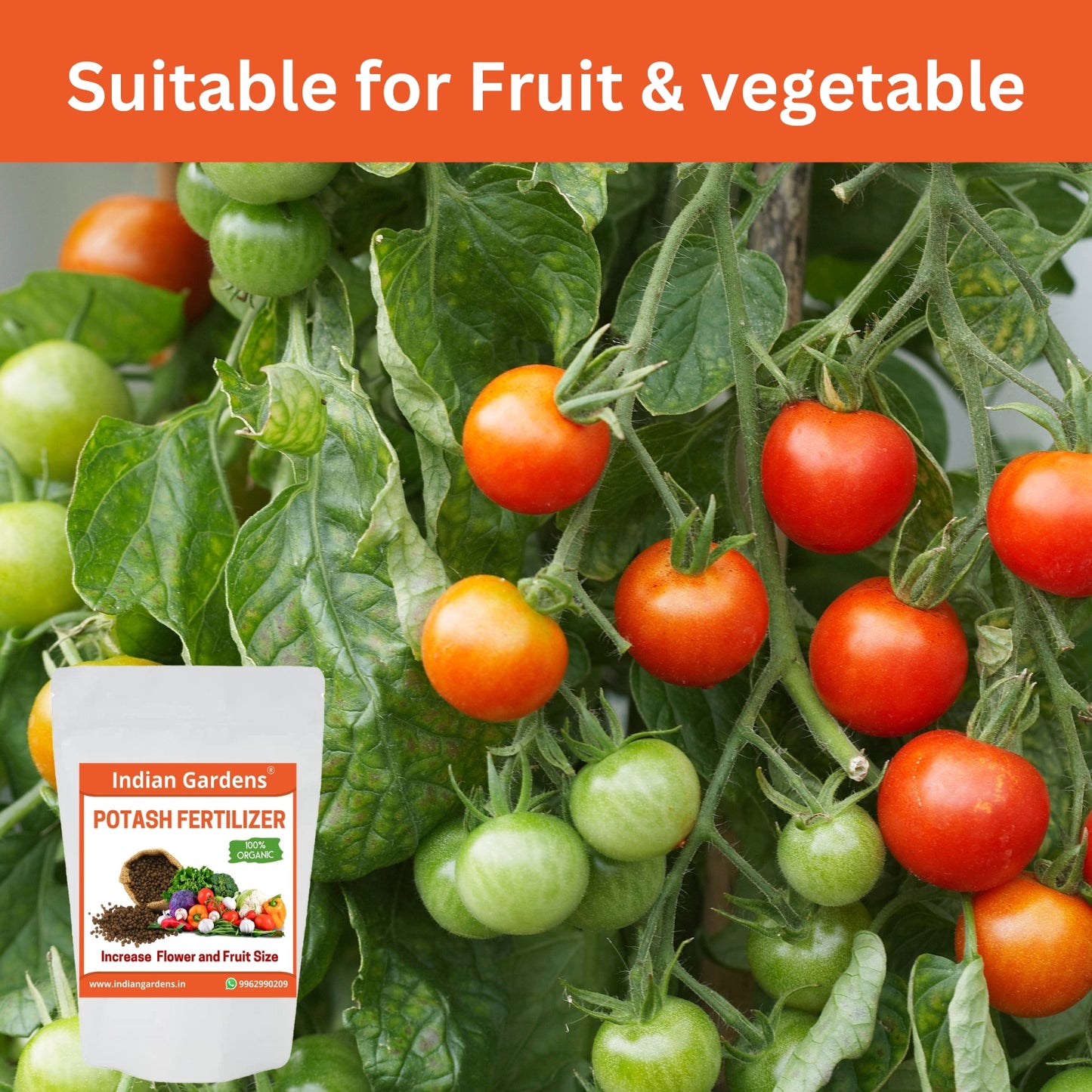 Organic Bio Potash Fertilizer | Plant Nutrient Supplement | Slow Release Granules For Plants and Home Garden