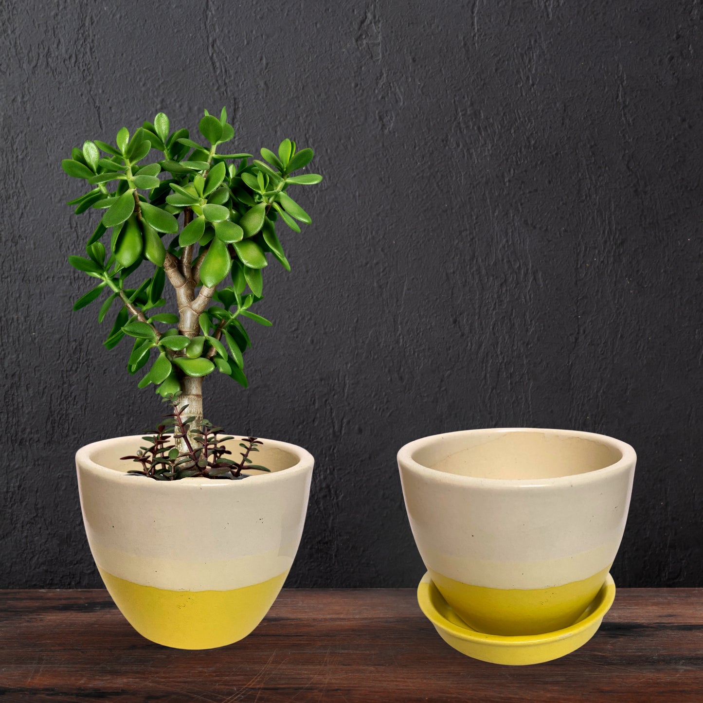 Ceramic Yellow Colour Pot Home, Indoor Décor & Gifting