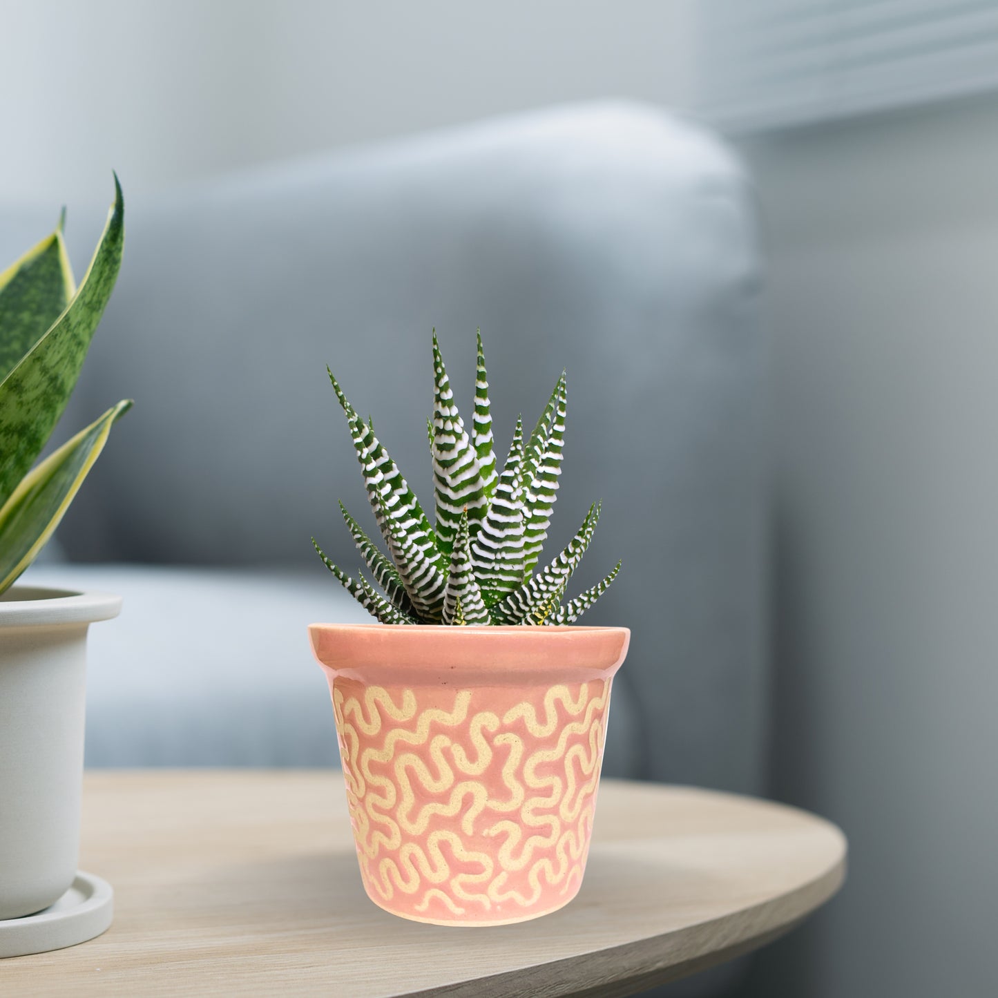 Ceramic Pink Colour Pot Home, Indoor Décor & Gifting