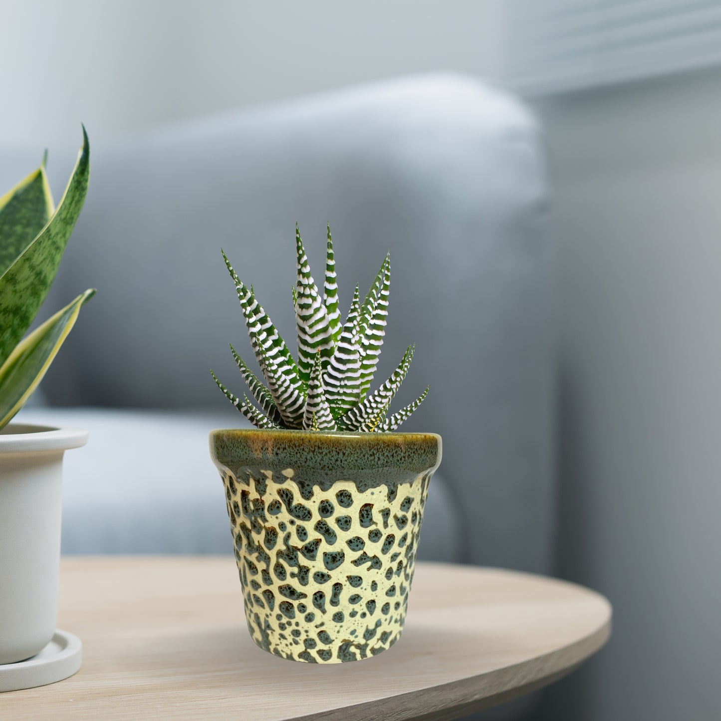 Ceramic Green Colour Pot Home, Indoor Décor & Gifting