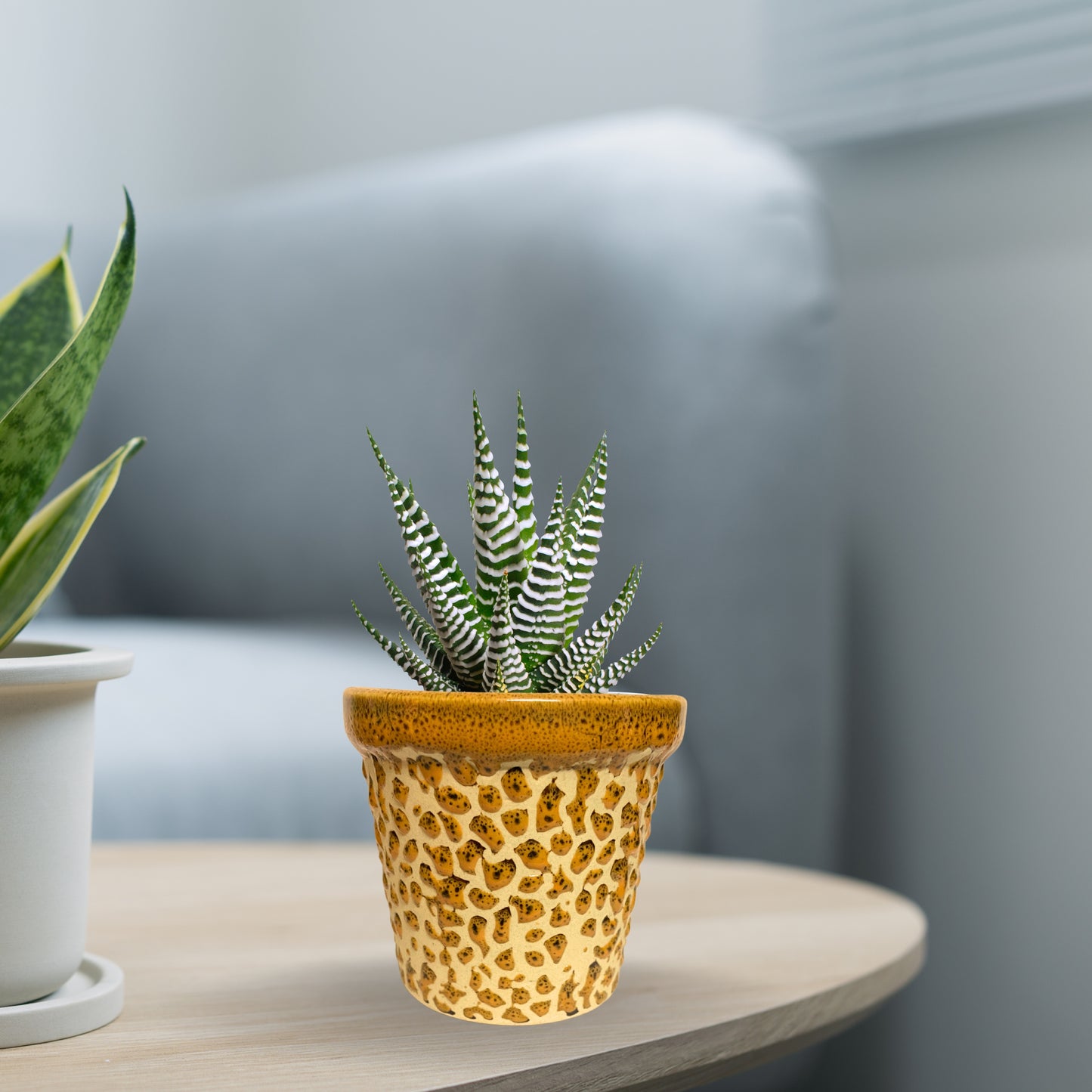 Ceramic Brown Colour Pot Home, Indoor Décor & Gifting