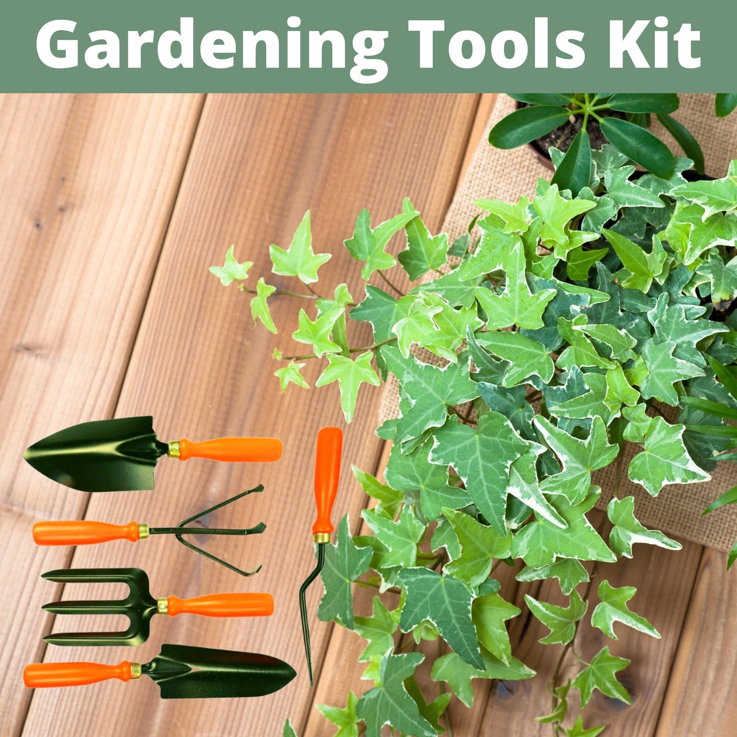 Gardening Tools Kit ( Set of 5 )
