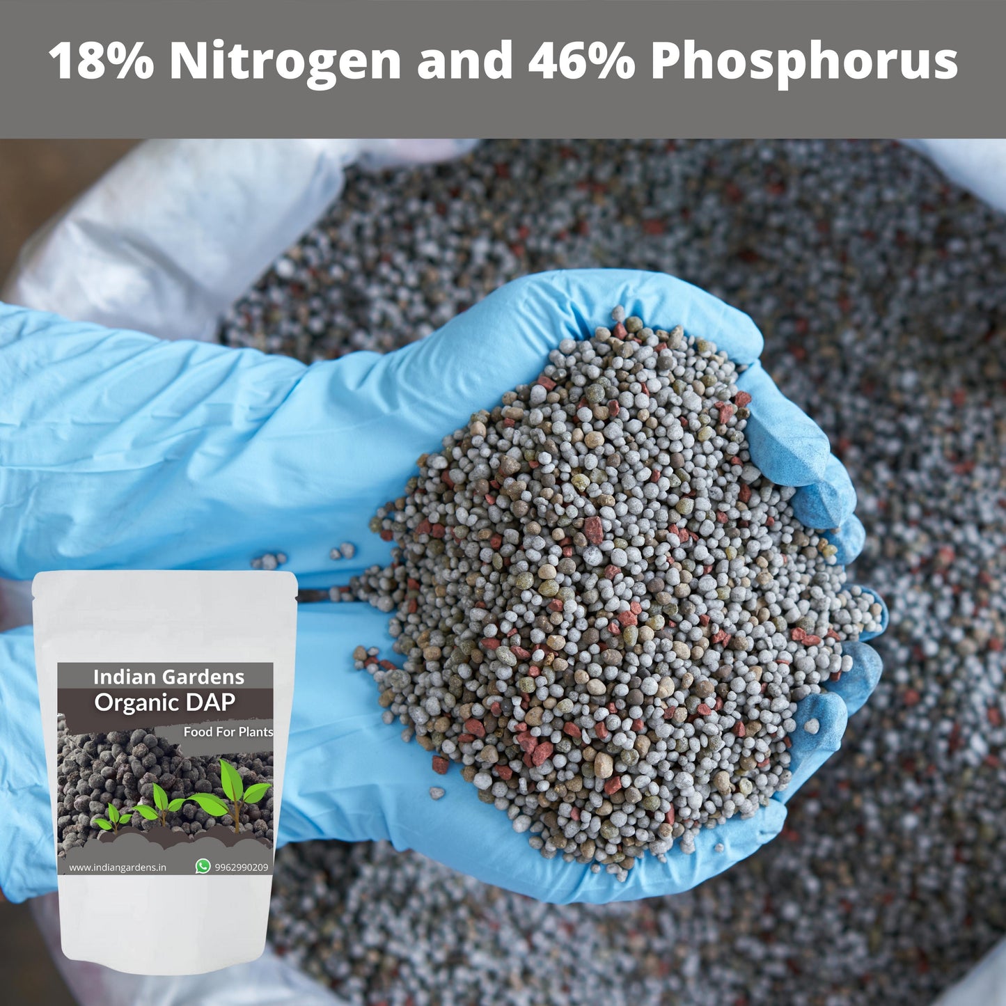Organic DAP Fertilizer