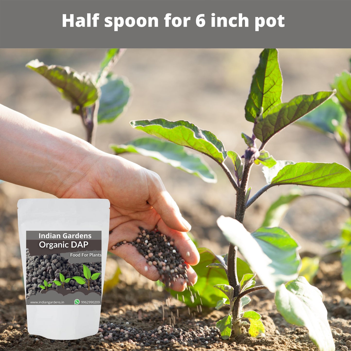 Organic DAP Fertilizer