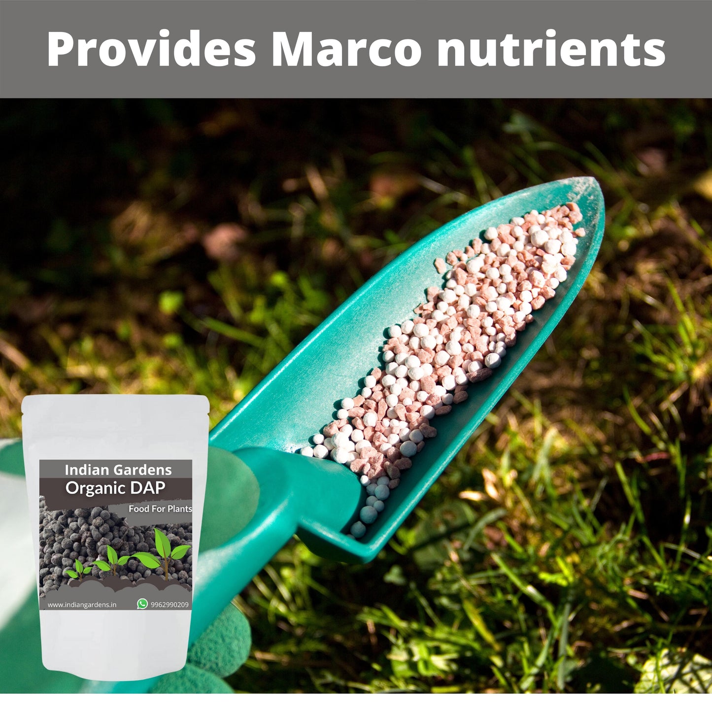 Organic DAP Fertilizer