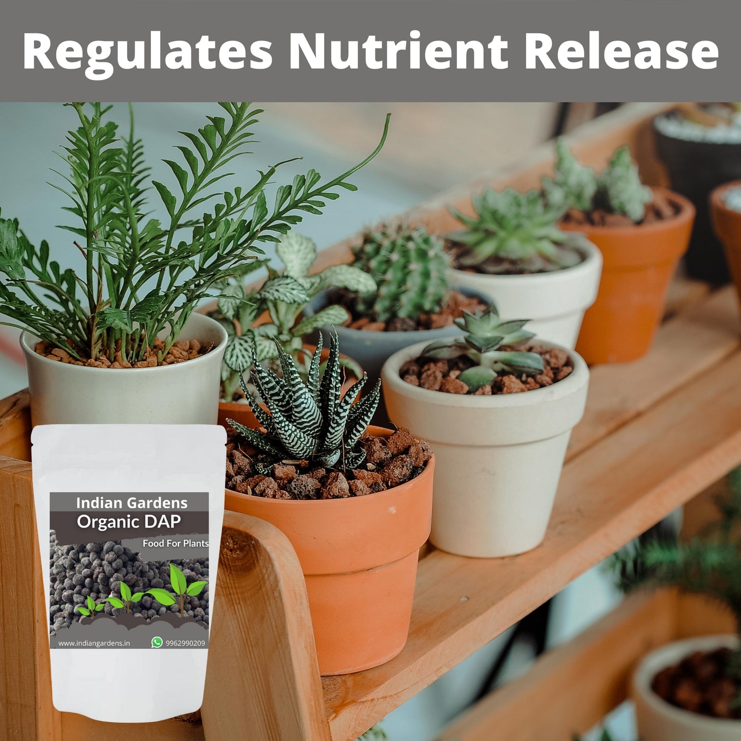 Organic DAP Fertilizer