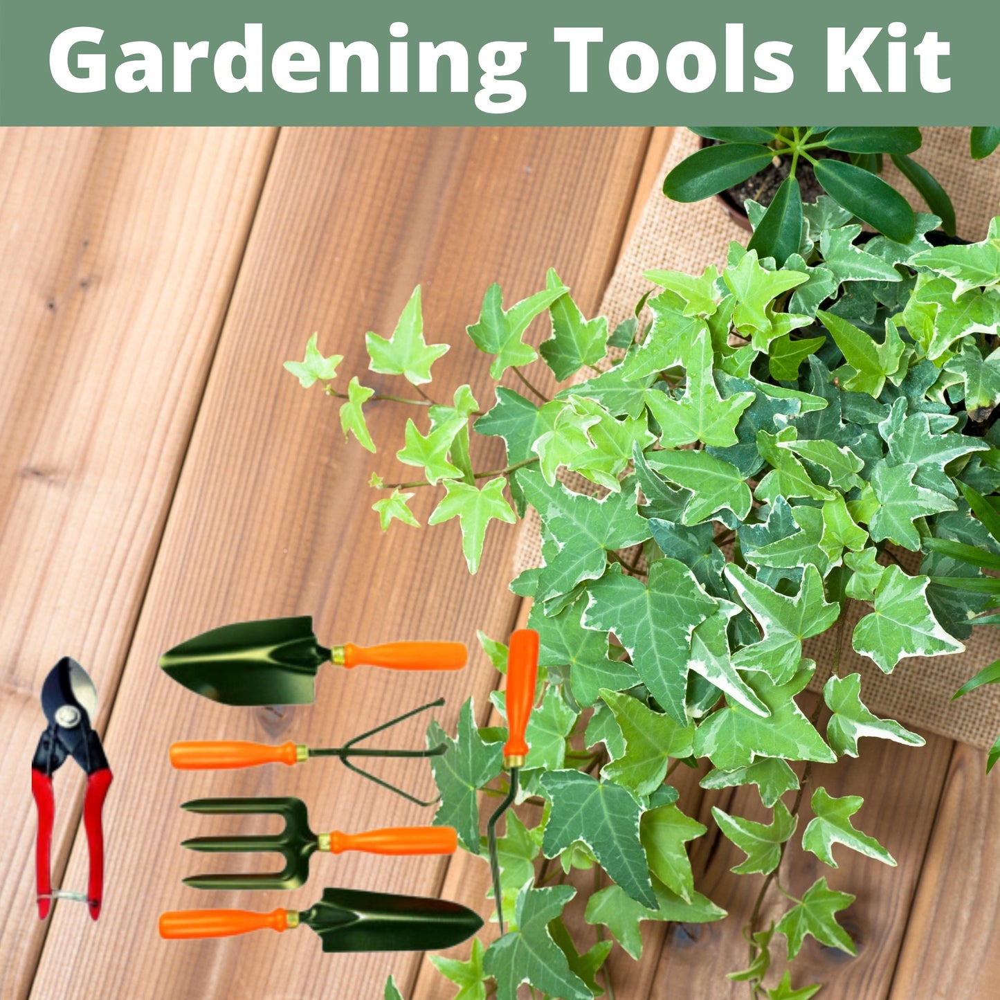 Gardening Tools Kit ( Set of 6 )