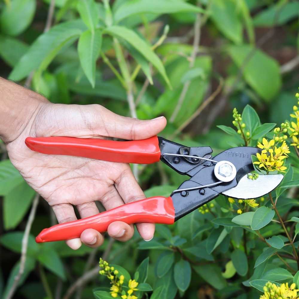 Heavy Duty Double Cut Hand Pruner
