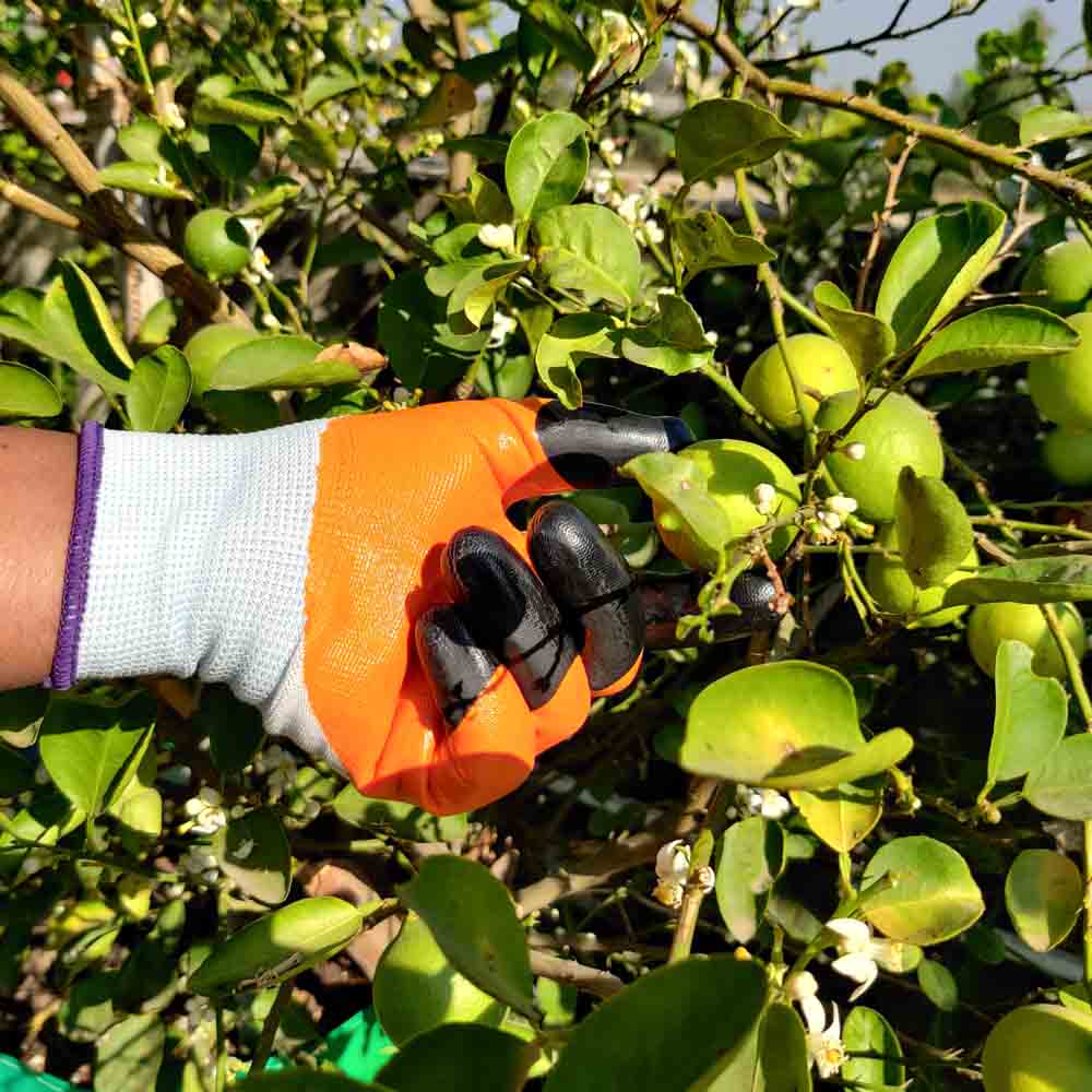 Gardening Gloves for Men and Women