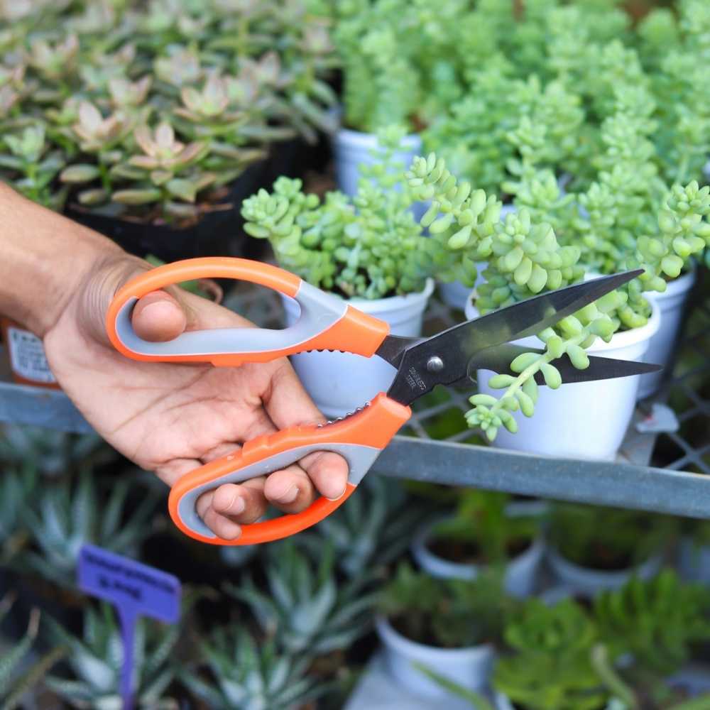 Stainless Steel Gardening Scissors with Sharp Blades