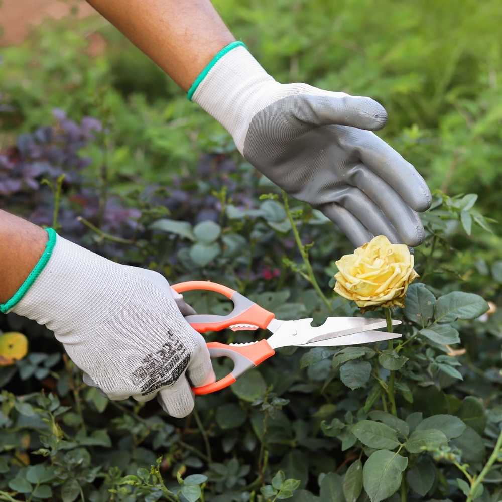 Stainless Steel Gardening Scissors with Sharp Blades