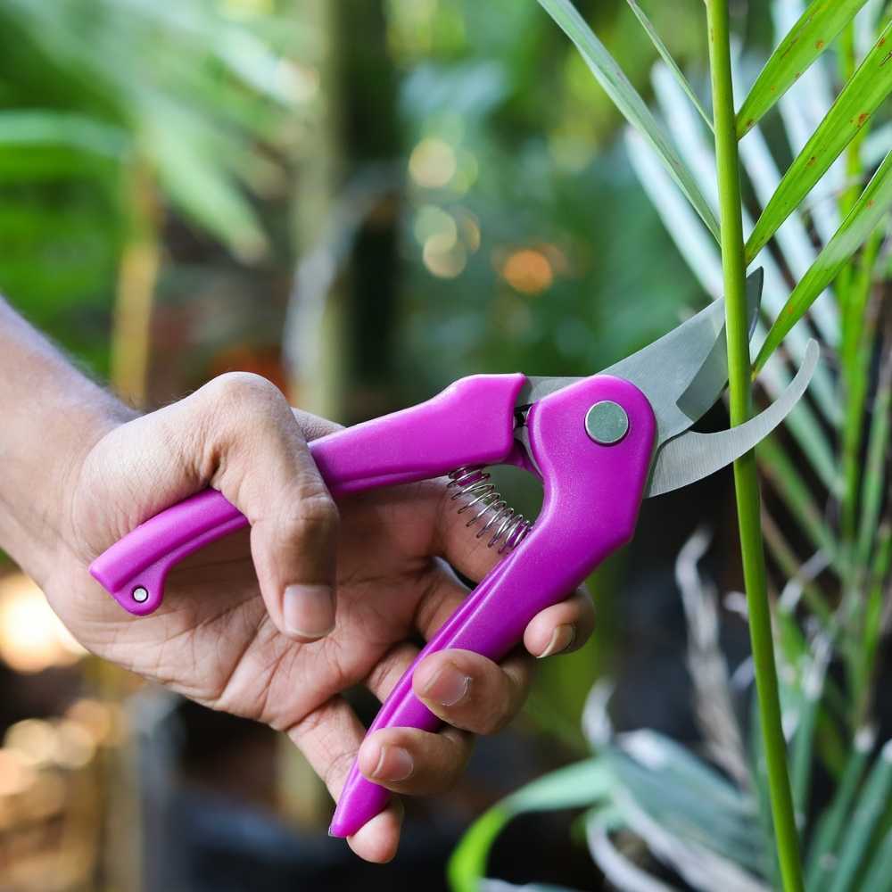 Multipurpose Gardening Cutter Scissor Hand Pruner
